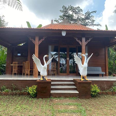 Lembah Cinta Mayungan Baturiti Exterior photo