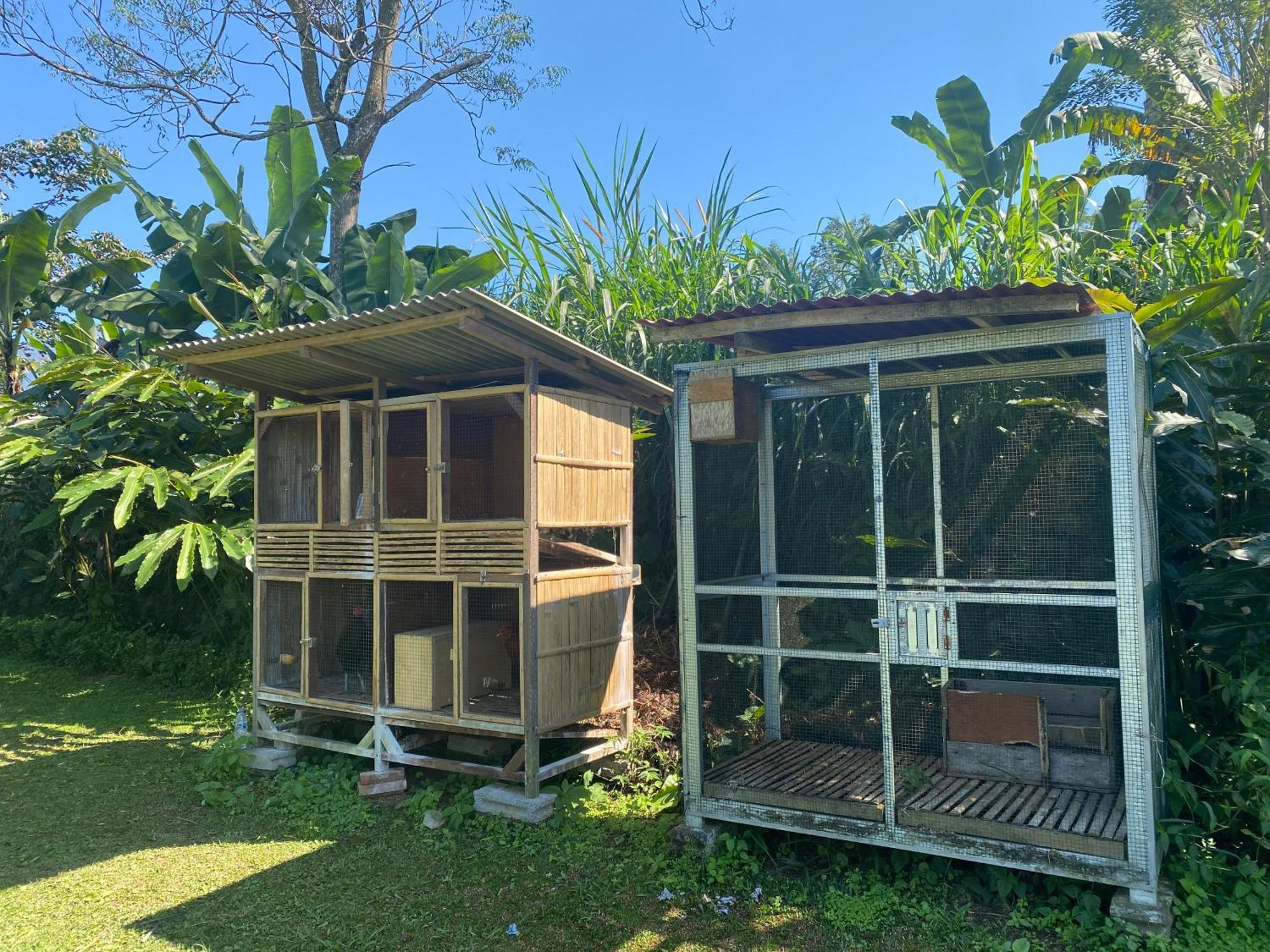 Lembah Cinta Mayungan Baturiti Exterior photo