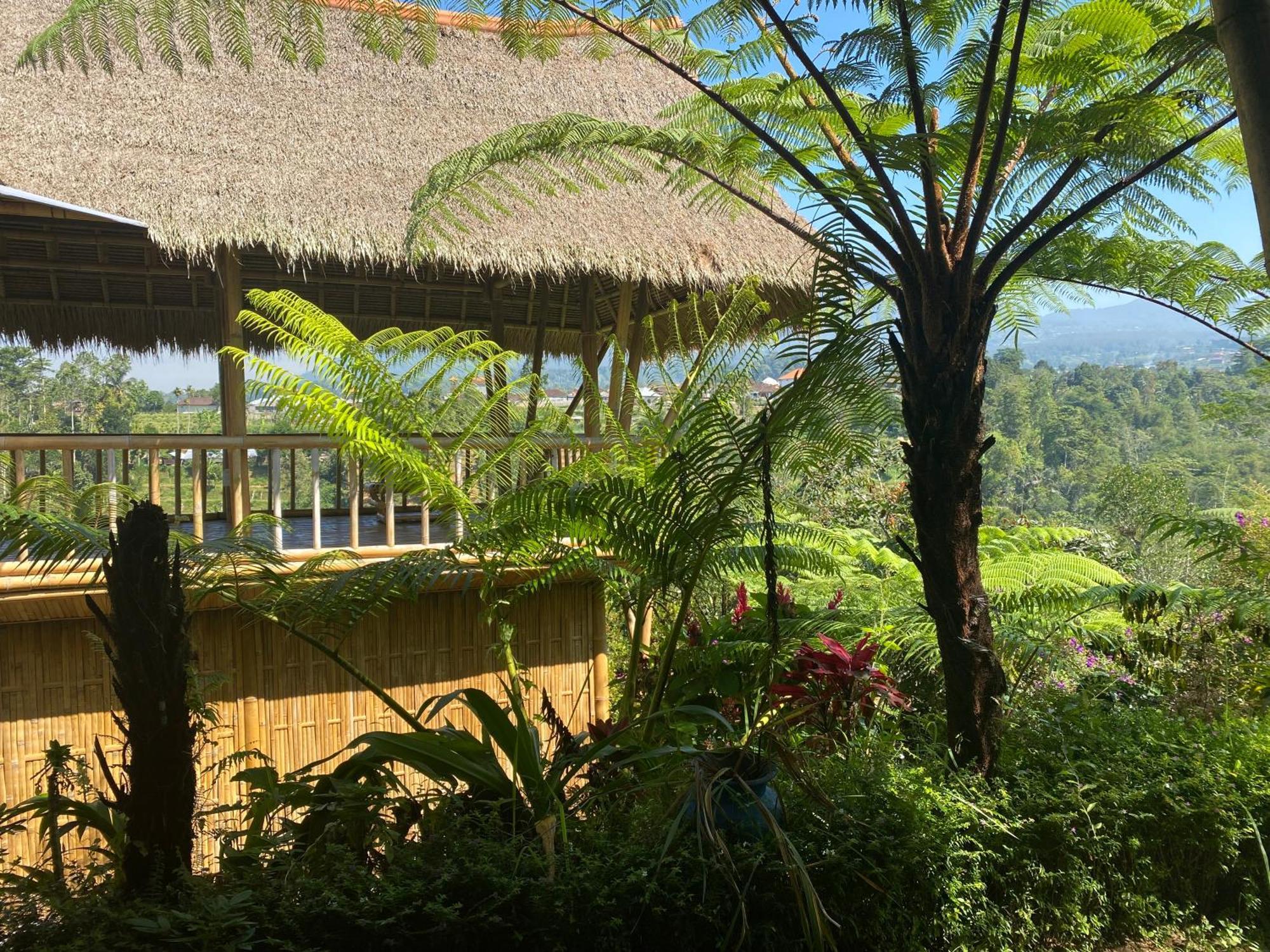 Lembah Cinta Mayungan Baturiti Exterior photo