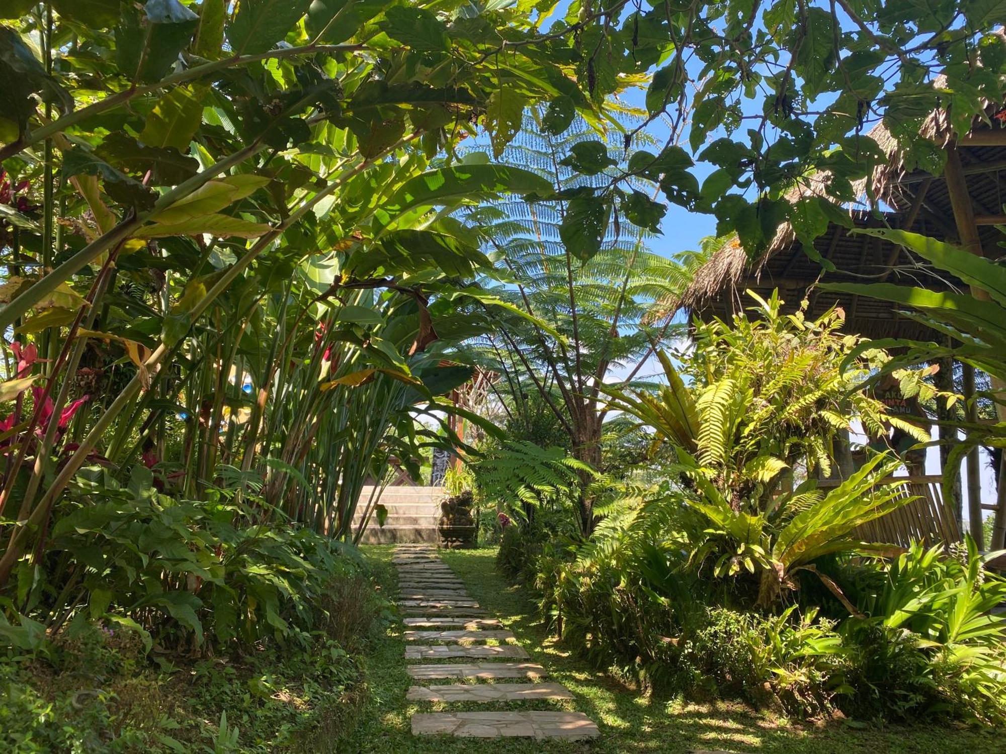 Lembah Cinta Mayungan Baturiti Exterior photo