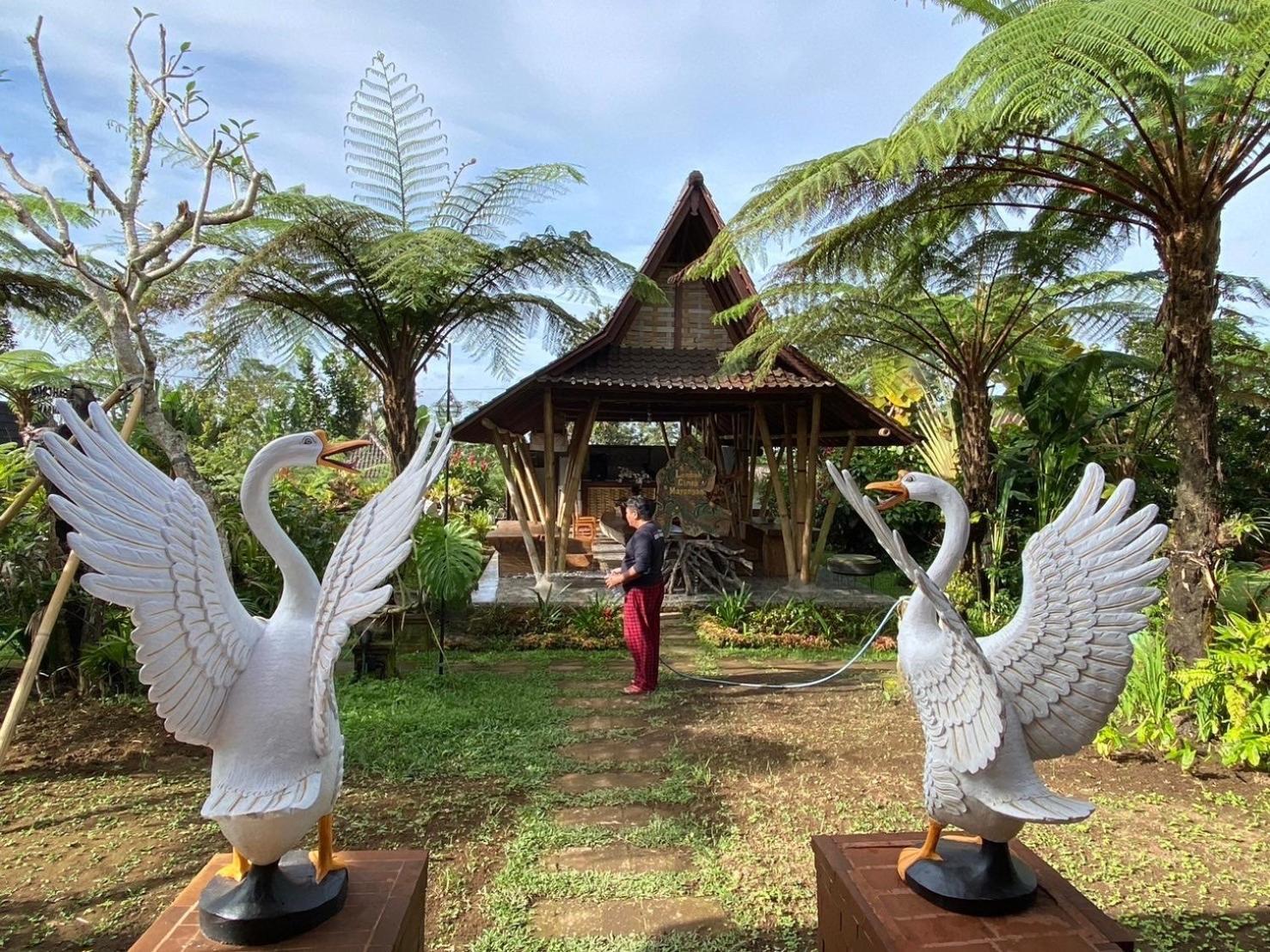 Lembah Cinta Mayungan Baturiti Exterior photo