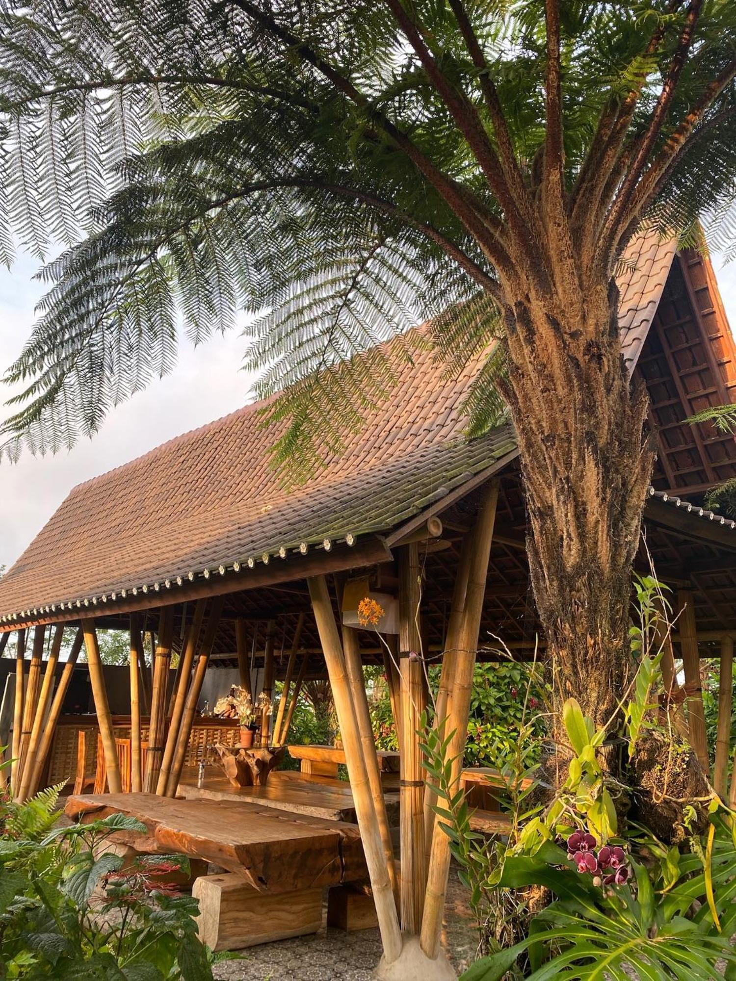 Lembah Cinta Mayungan Baturiti Exterior photo