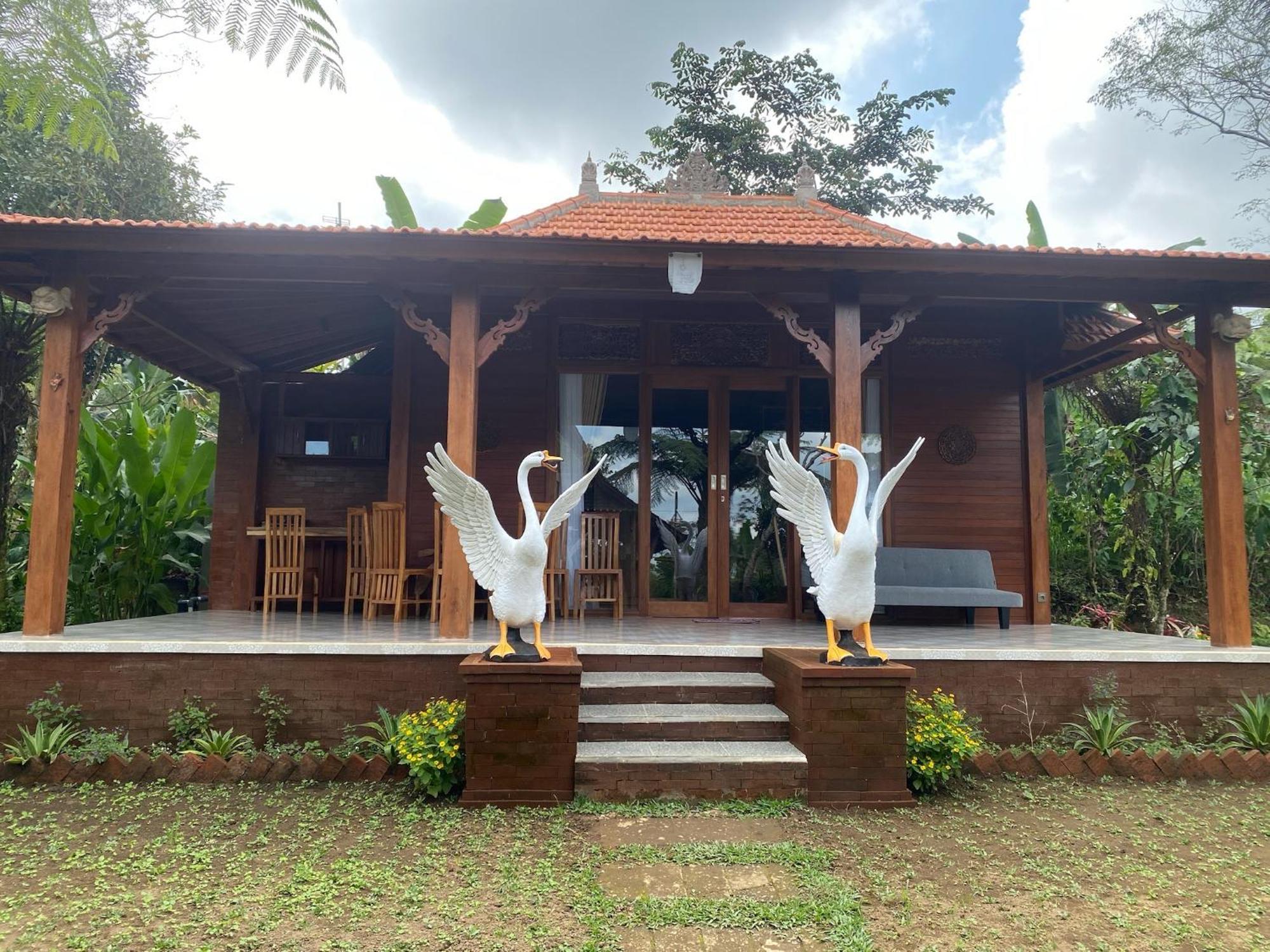 Lembah Cinta Mayungan Baturiti Exterior photo