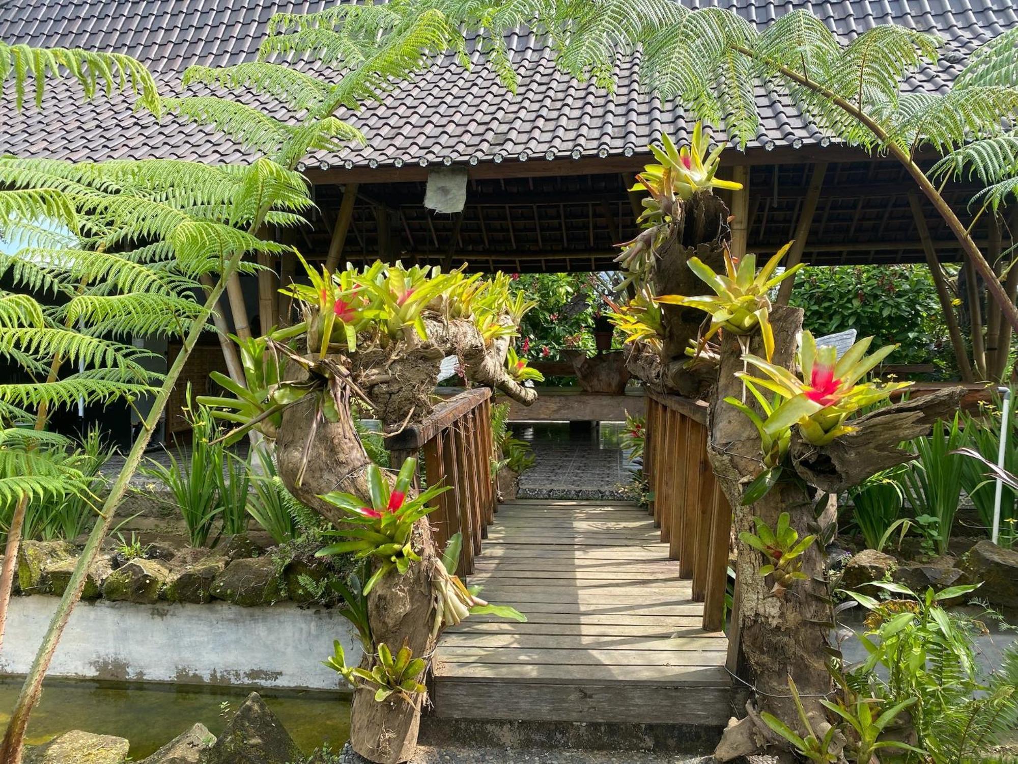 Lembah Cinta Mayungan Baturiti Exterior photo